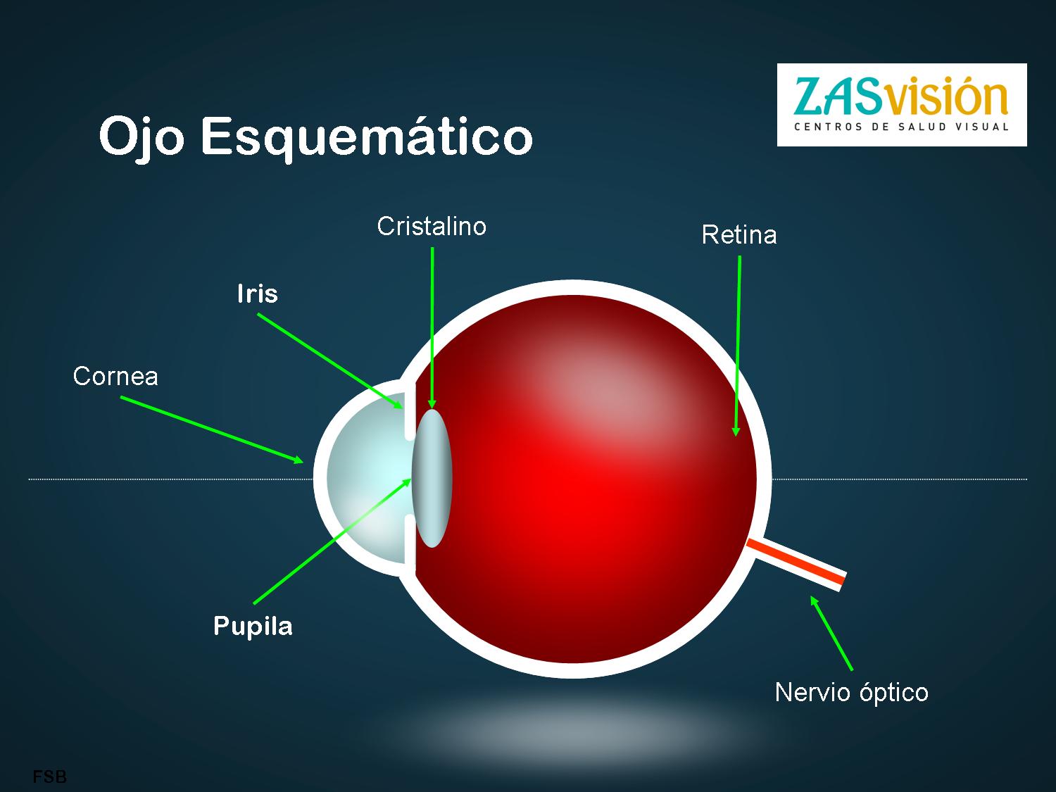 Esquema del funcionamiento del ojo